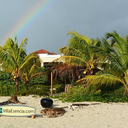 Esencia Cottage Long Bay ภายนอก รูปภาพ