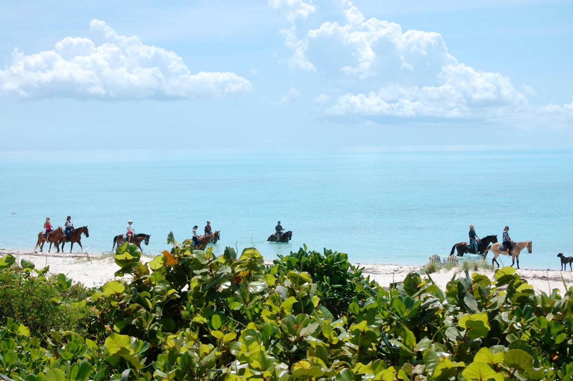 Esencia Cottage Long Bay ภายนอก รูปภาพ
