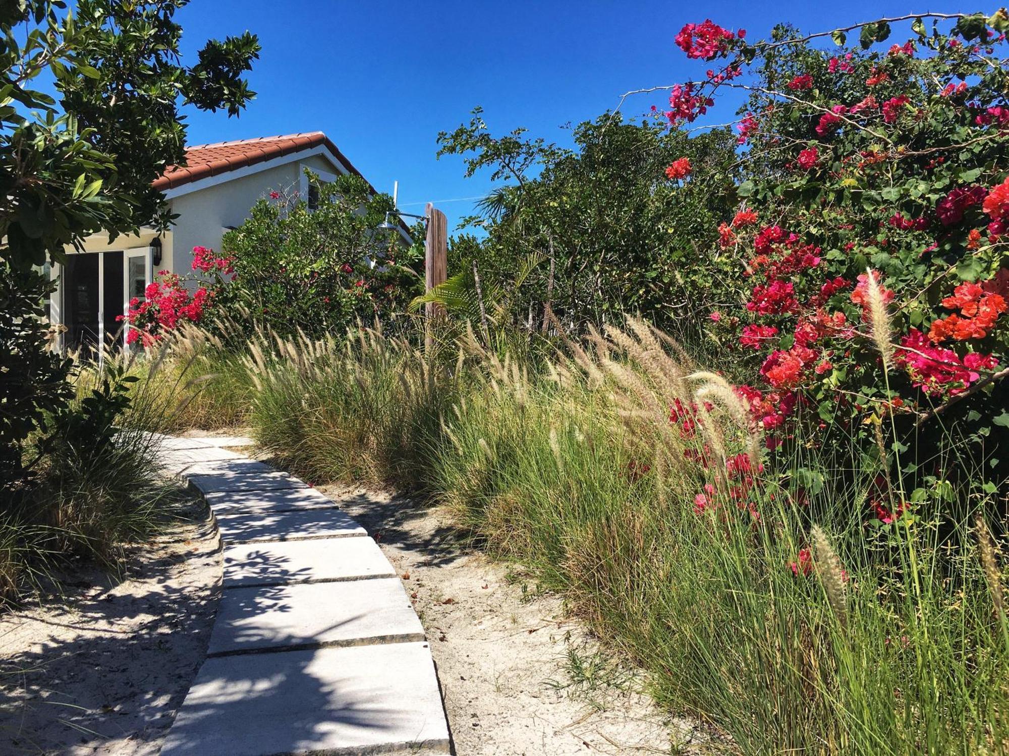 Esencia Cottage Long Bay ภายนอก รูปภาพ